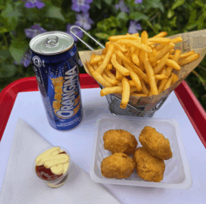 Nuggets & Frites & Boisson*